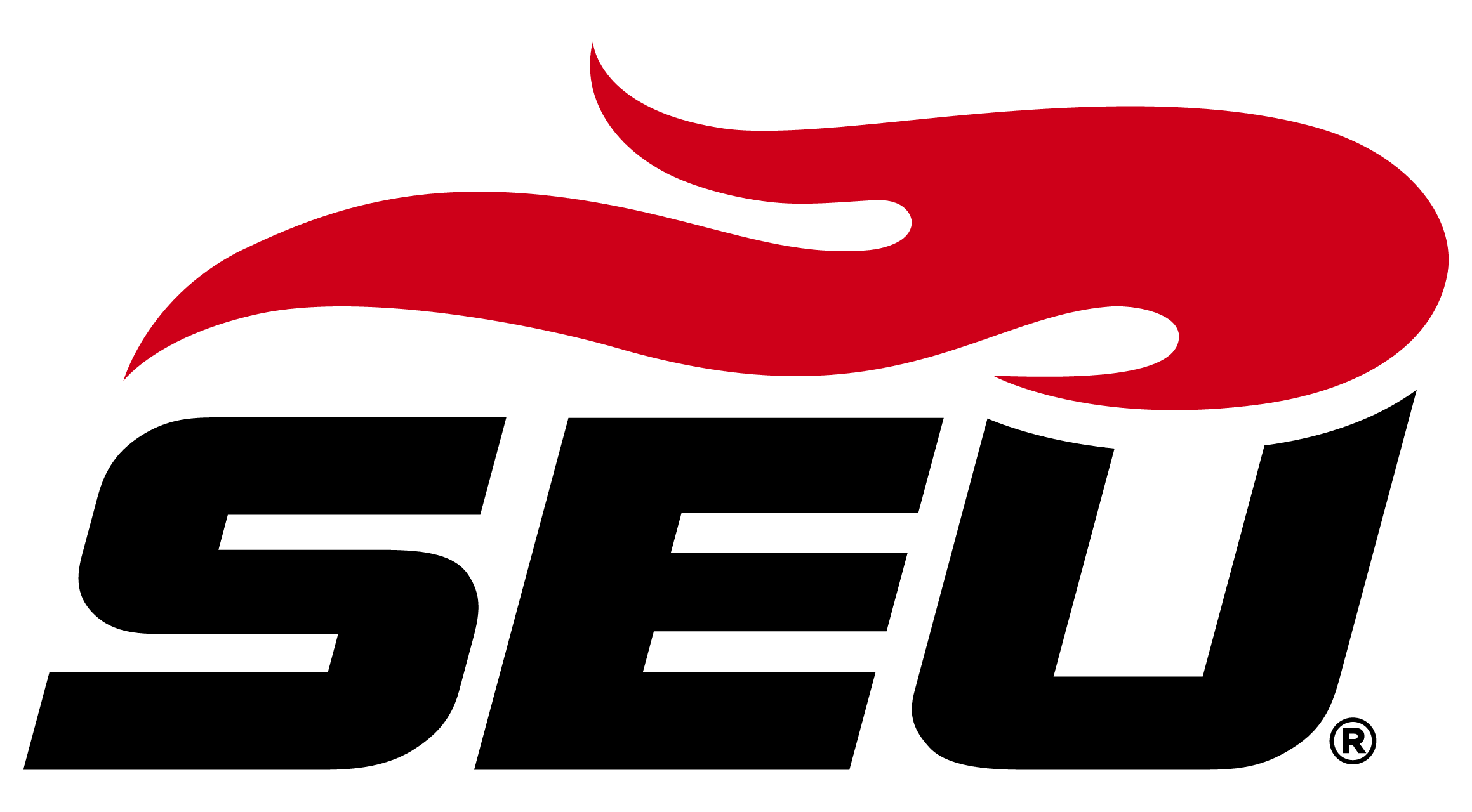 Footer Logo